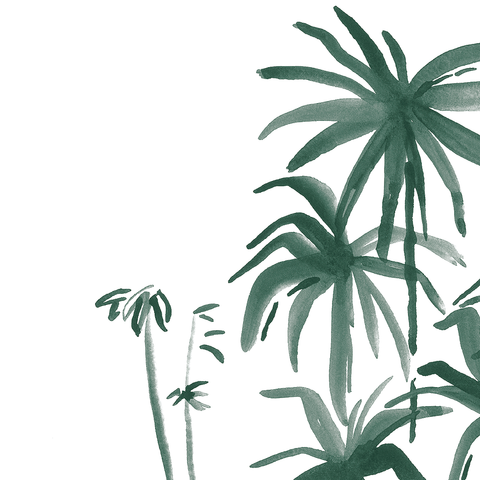 Beyond the Palms VII